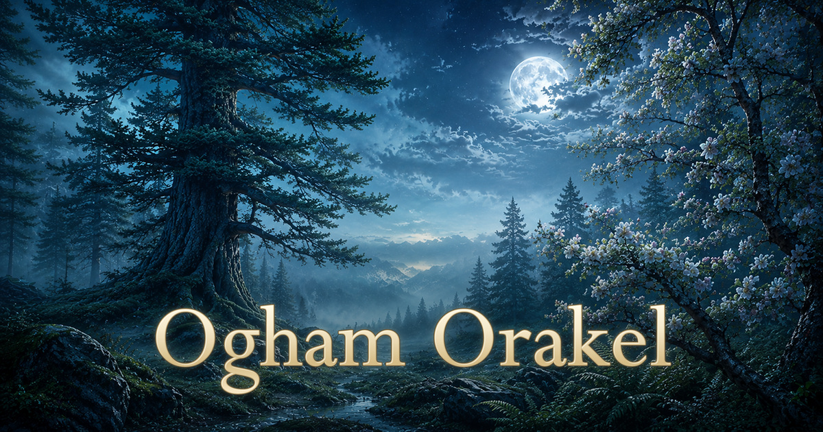 En keltisk lund i månsken med titeln Ogham-oraklet